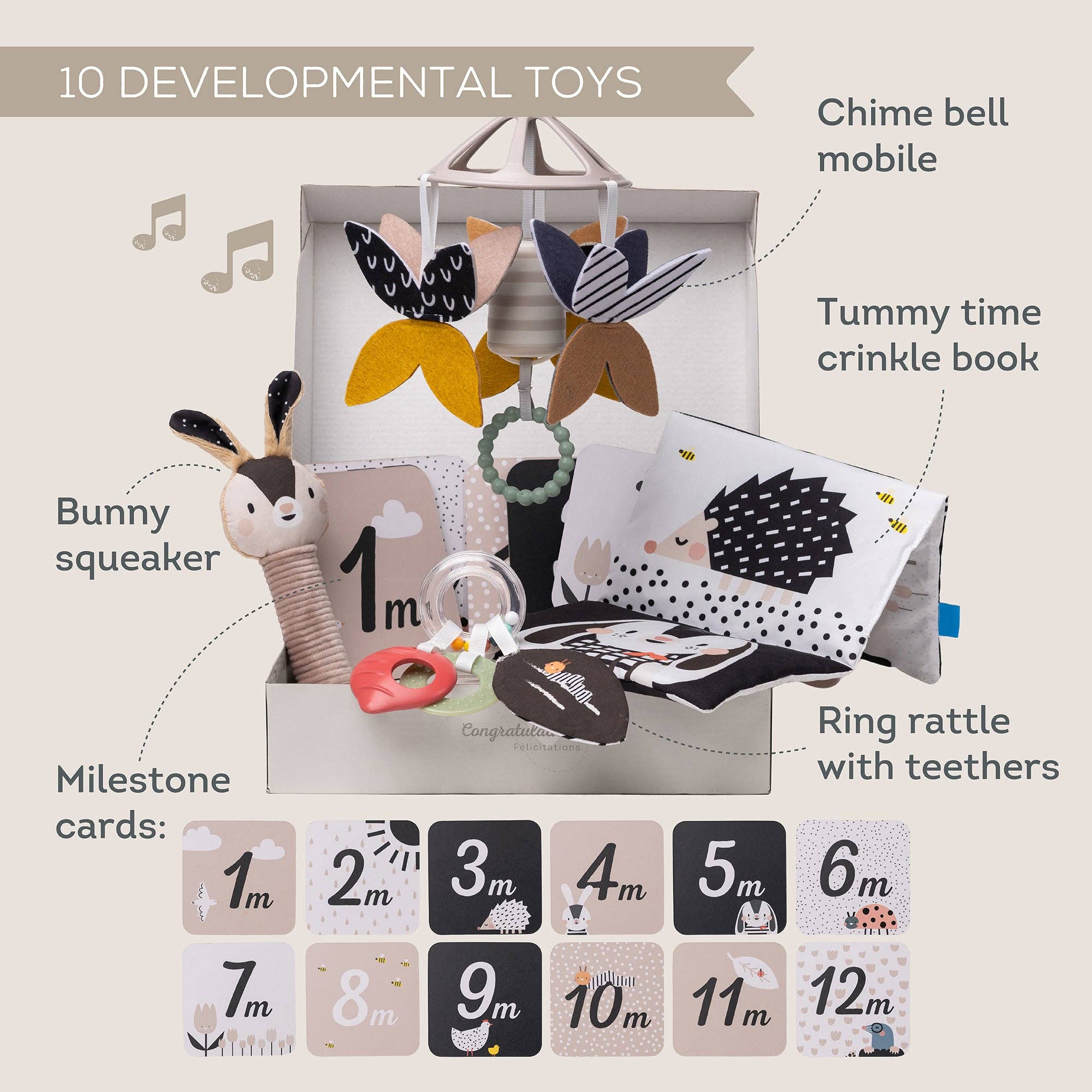 Taf Toys Newborn Black & White Gift Kit 0M+