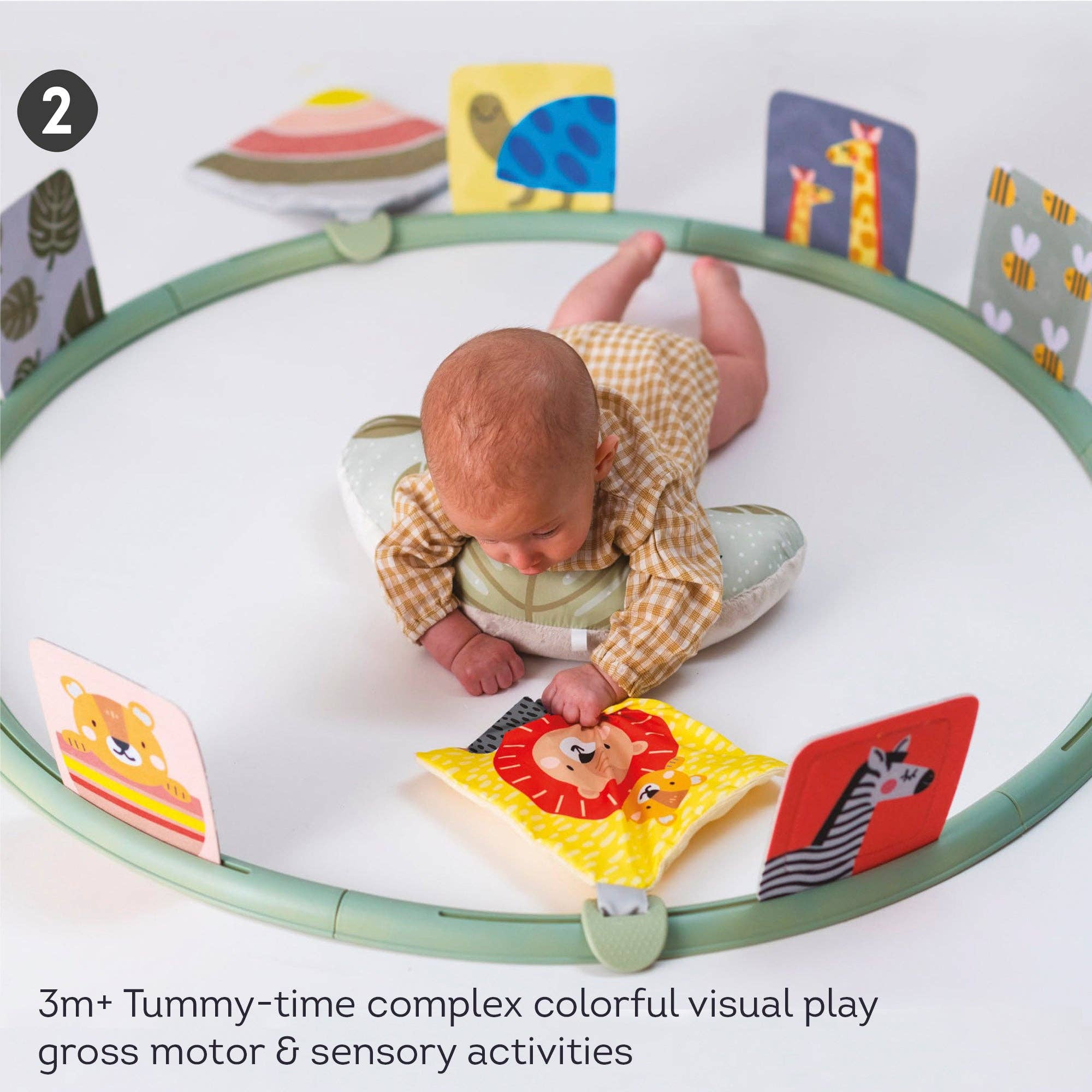 Taf Toys Tummy time trainer 0m+