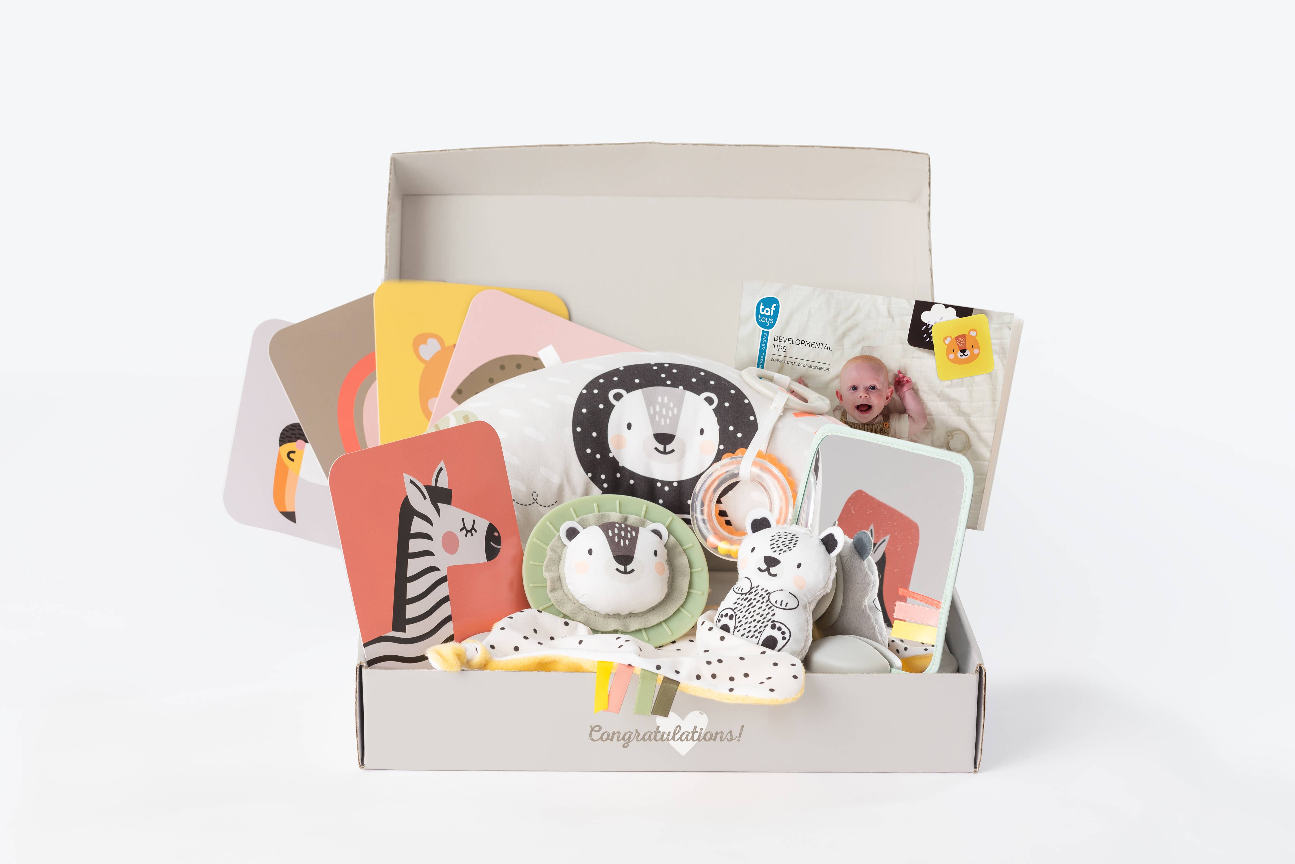 Taf Toys Newborn Kit 0m+