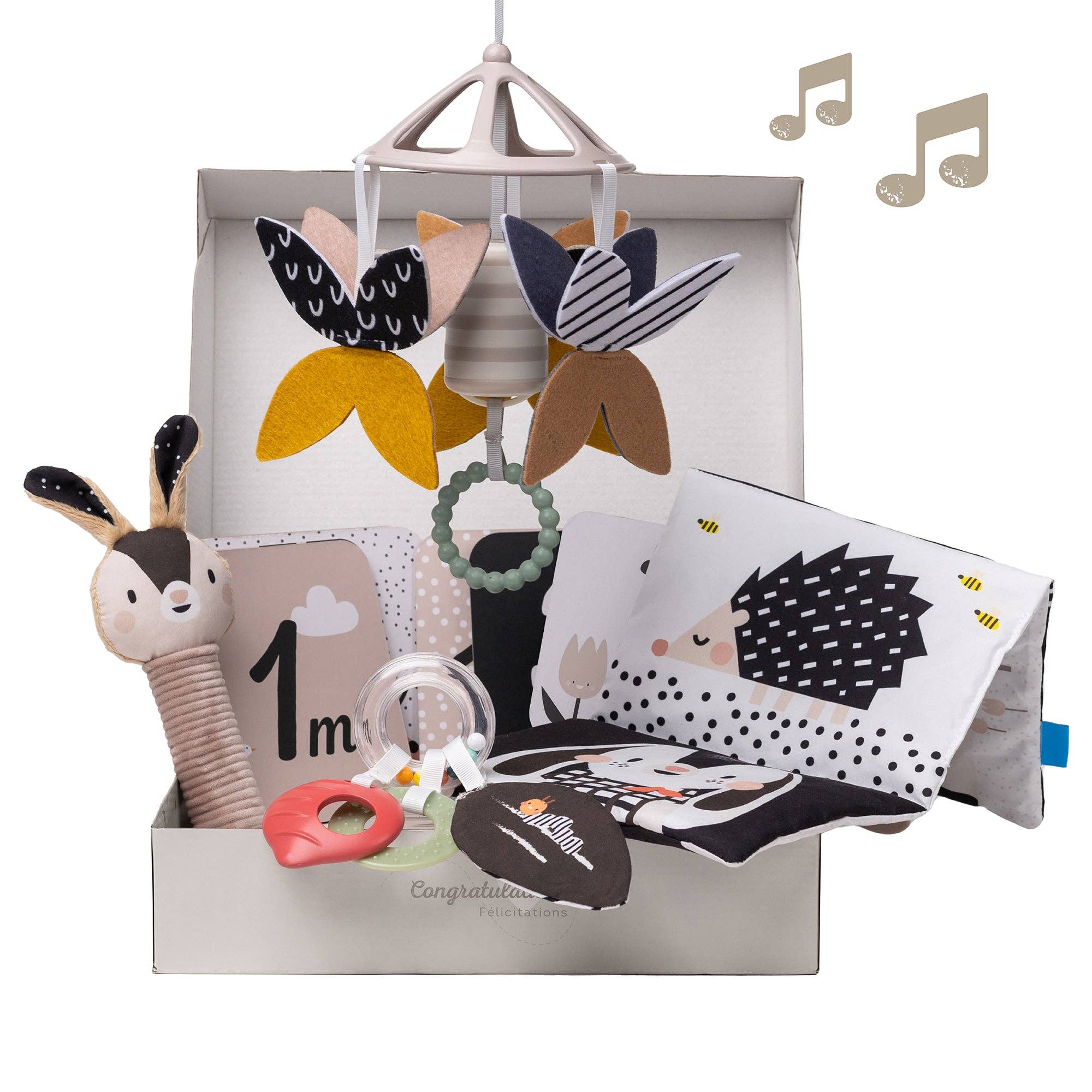 Taf Toys Newborn Black & White Gift Kit 0M+