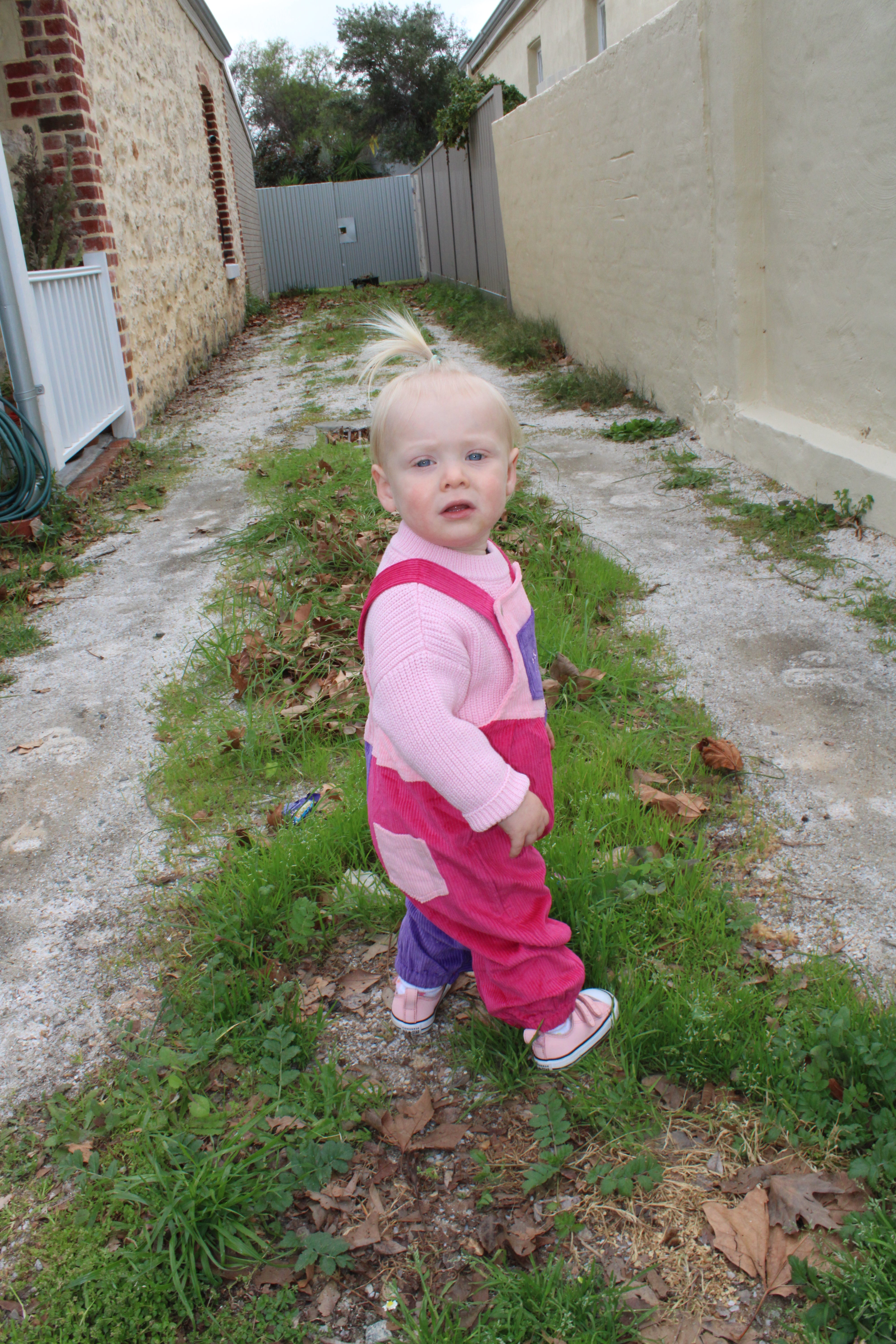 Explorer Cord Overalls