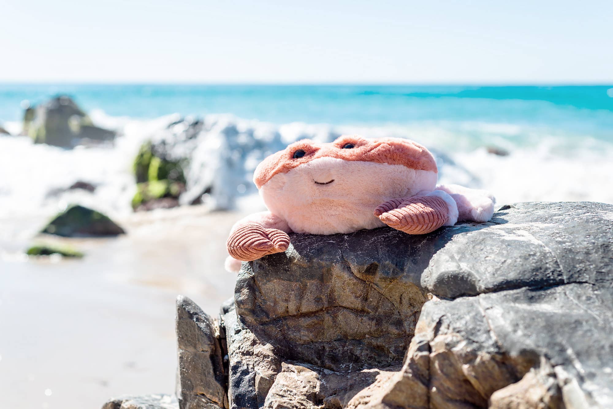 OB Design Softies