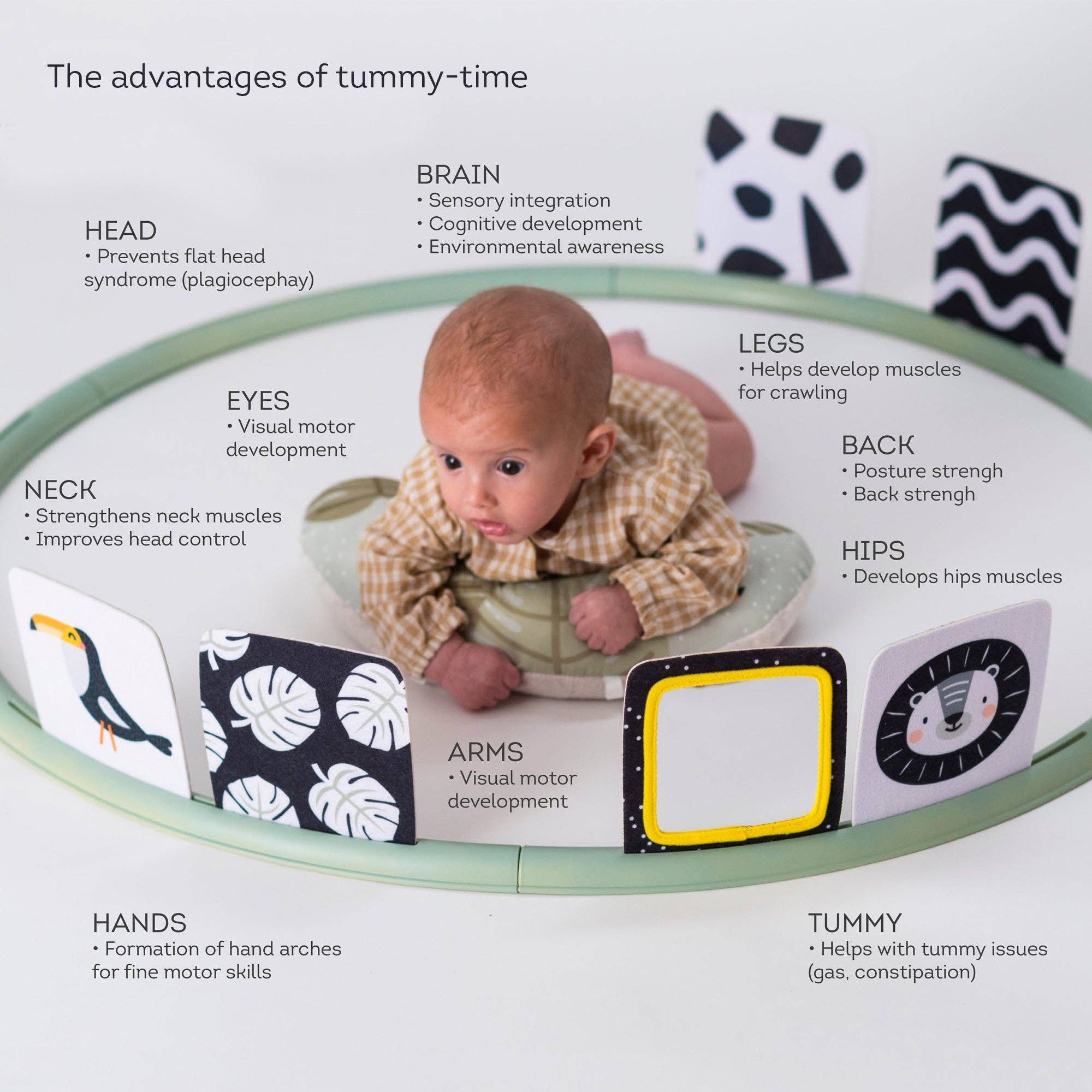 Taf Toys Tummy time trainer 0m+