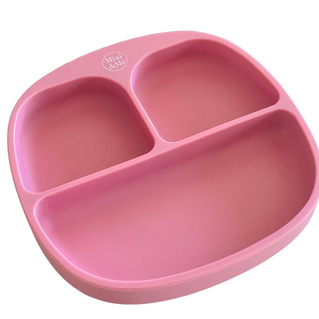 Mini & Me Divider Plate Guava