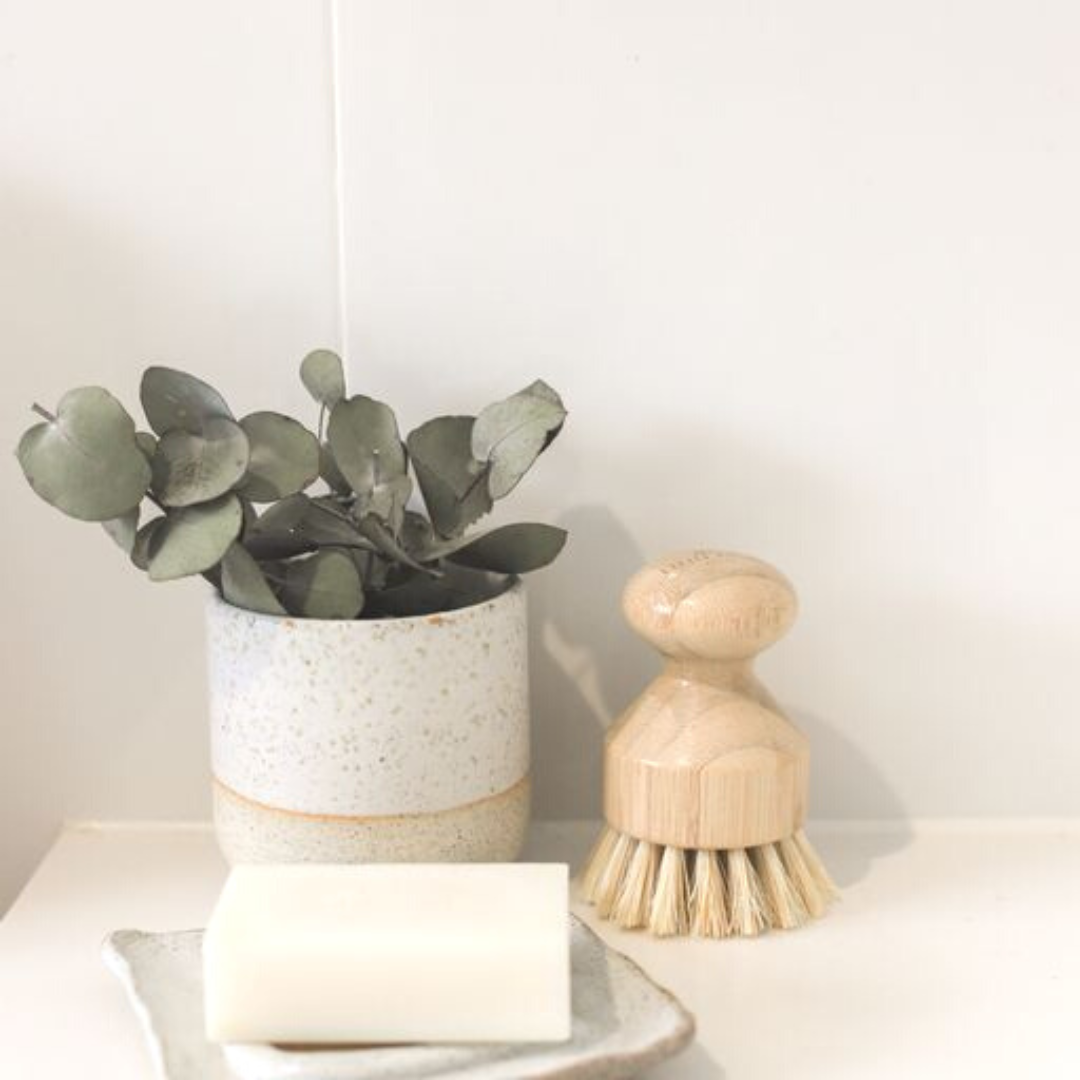 BAMBOO DISH BRUSH