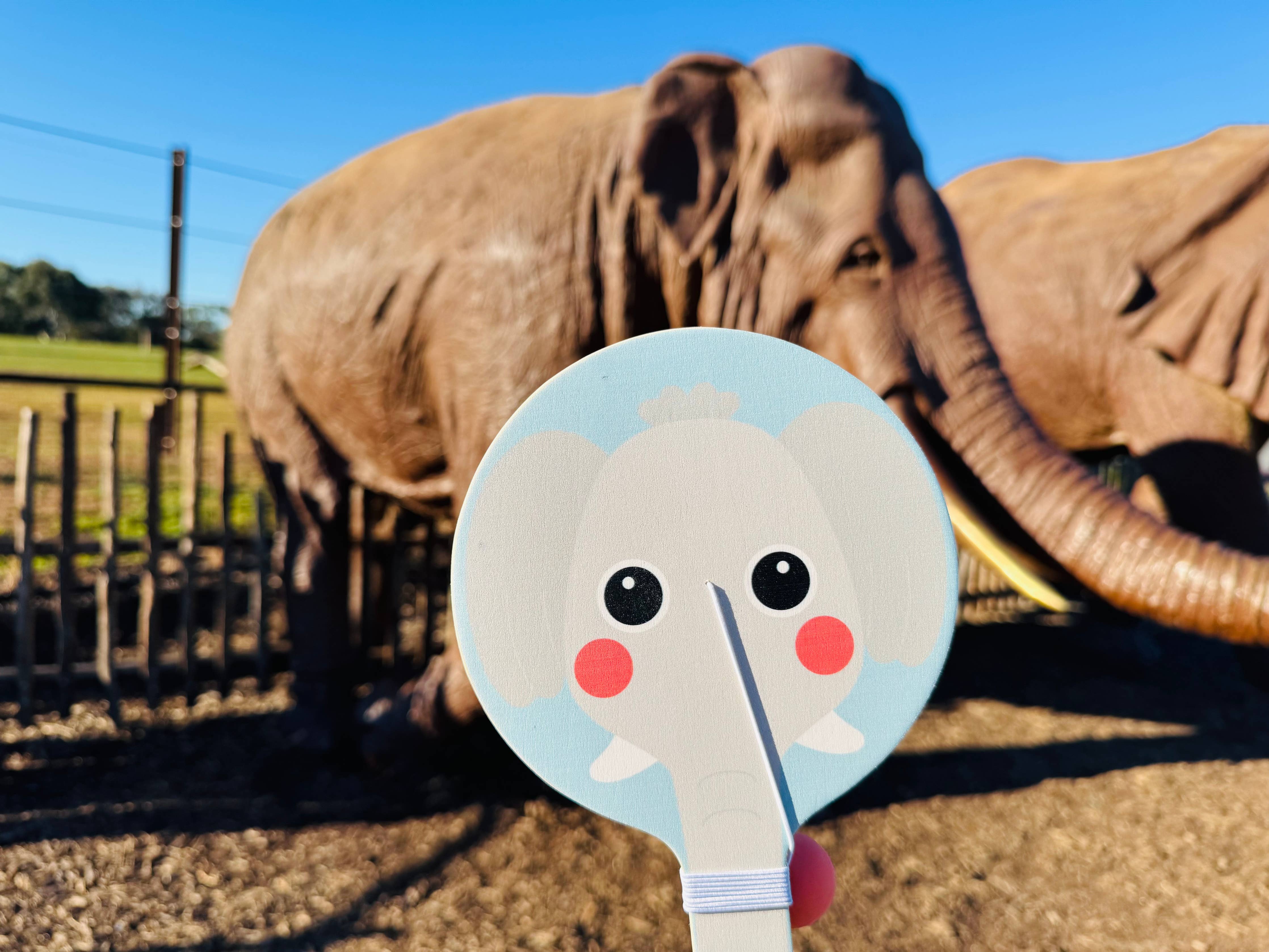 Wooden Elephant & Giraffe Paddle Ball