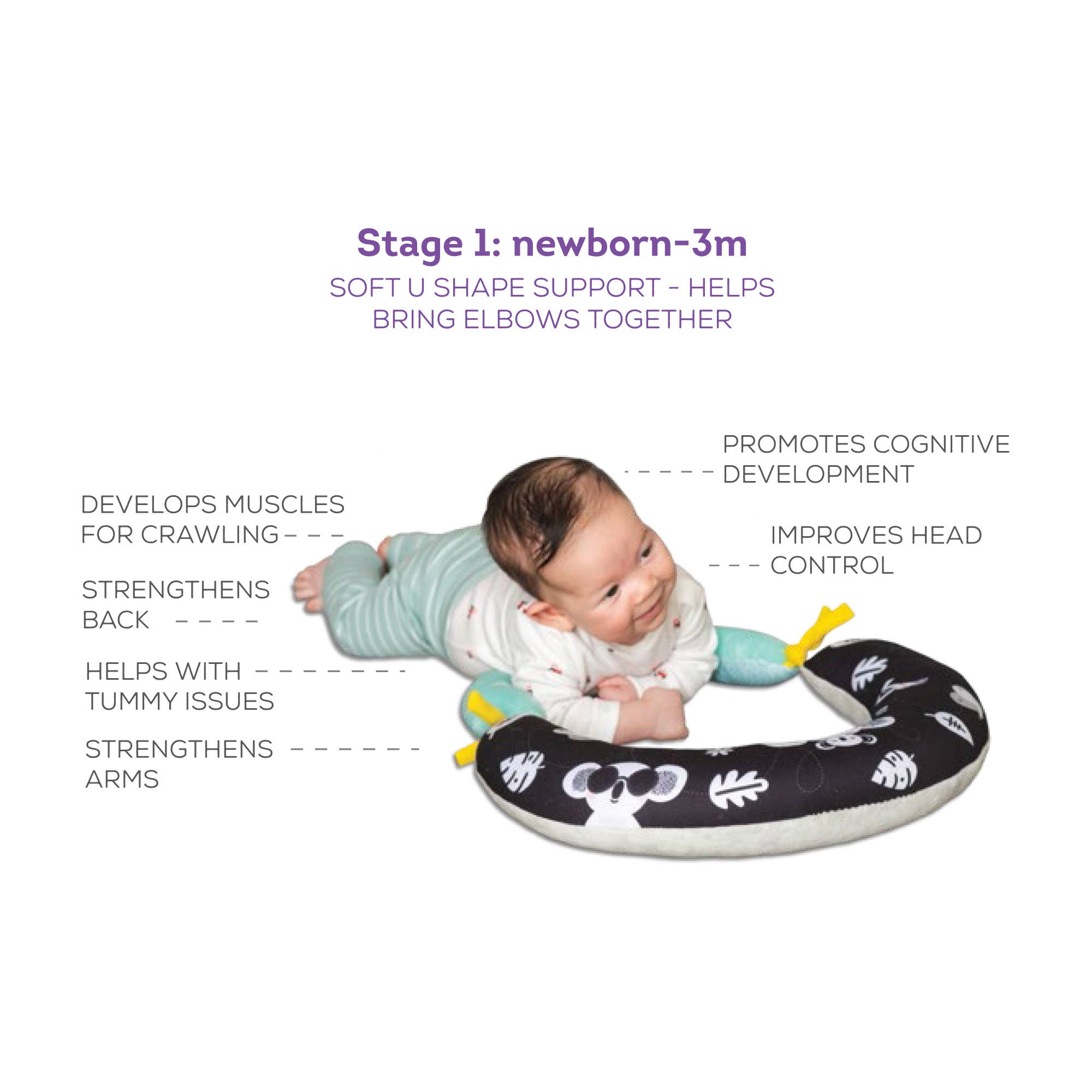 Taf Toys 2 in 1 Tummy Time Pillow