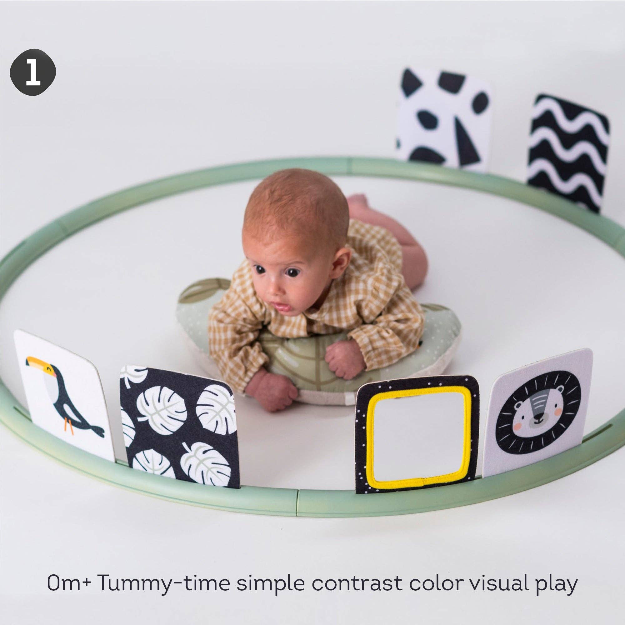 Taf Toys Tummy time trainer 0m+